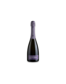 Bortolomiol Valdobbiadene Prosecco Superiore Docg Audax Extra Brut Millesimato 2025