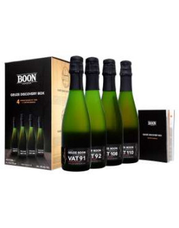 4 Birra Boon Vat Discovery Box 0,375 l