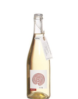 Vino Frizzante da Tavola Bianco 450 slm 