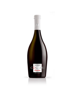 12 Birra Artigianale Bionda Blanche 33 cl