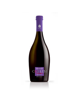 6 Birra Artigianale Bionda Triplo Malto 75 cl