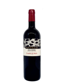 6 Antillo Bolgheri 2018