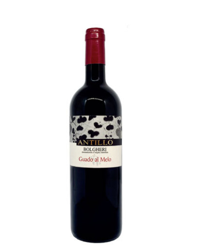 6 Antillo Bolgheri 2018