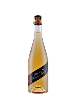 6 Blanc De Noirs Metodo Classico 2011