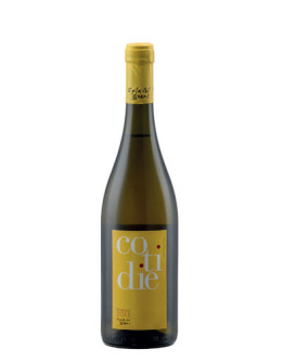 6 Cotidie Bianco Calabria 2019