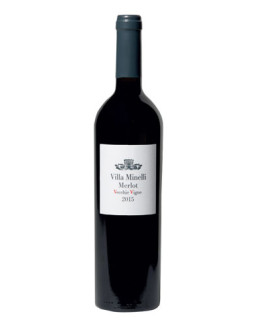 6 Merlot Vecchie Vigne Veneto Igt 