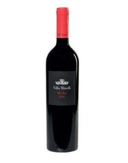 6 Merlot Veneto Igt 