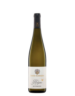 6 Riesling Monzinger Halgans Trocken 2016