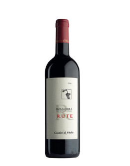 6 Rute Bolgheri 2016