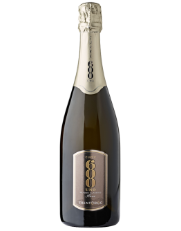 4 Trentino D.O.C " 600UNO" Magnum