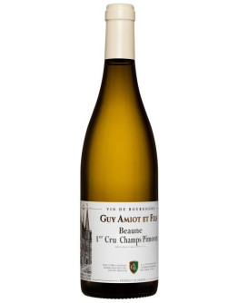 Beaune 1er Cru Champs Pimont 2021