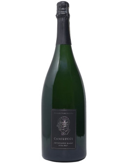 Franciacorta Extra Brut docg 2020 - Anthologie Blanc Magnum