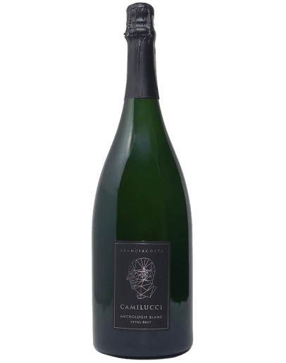 Franciacorta Extra Brut docg 2020 - Anthologie Blanc Magnum