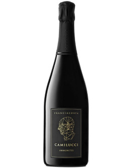 10 Ammonites Franciacorta Dosaggio Zero docg0,375 l