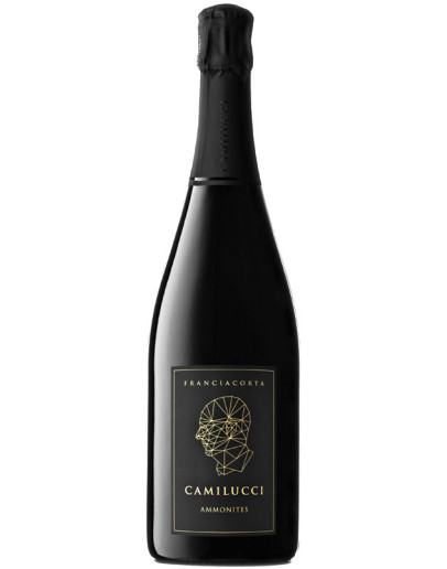 10 Ammonites Franciacorta Dosaggio Zero docg0,375 l