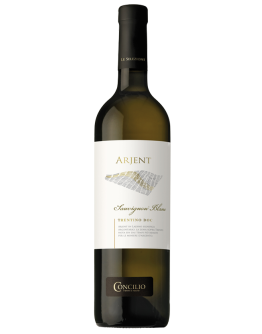 6 Sauvignon Bianco Trentino D.O.C "Arjent"