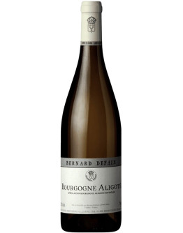 Bourgogne Aligoté 2024