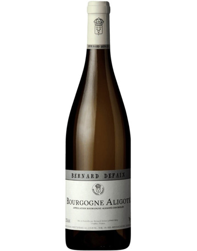 Bourgogne Aligoté 2024