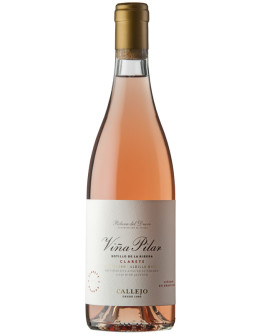 Ribera del Duero 2022 - Vina Pilar