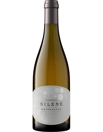 Chardonnay Capensis Silene Stellembosch 2024