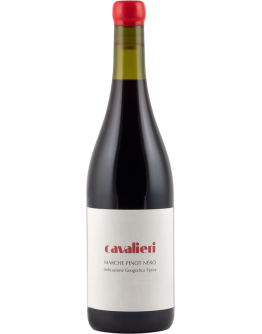 Pinot Nero Marche igt 2022