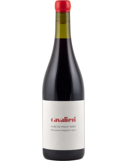 Pinot Nero Marche igt 2022
