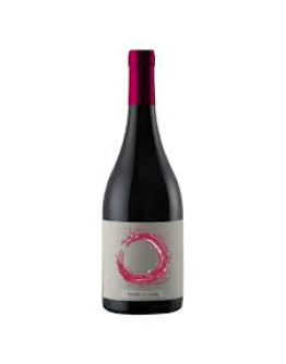 Carmenere Concreto 2023 - Azuda