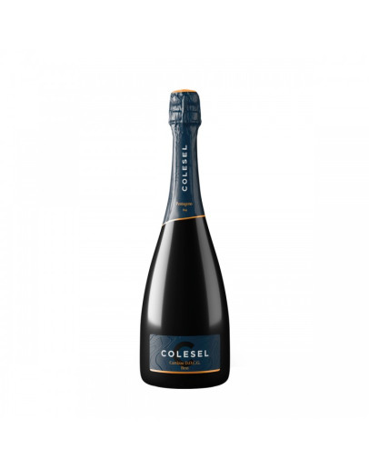 Cartizze docg Brut Millesimato 3 l