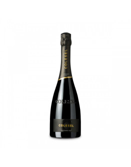 Cartizze docg Dry Millesimato Magnum
