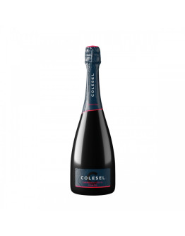 Prosecco Superiore docg Extra Dry - Fontana Vecia