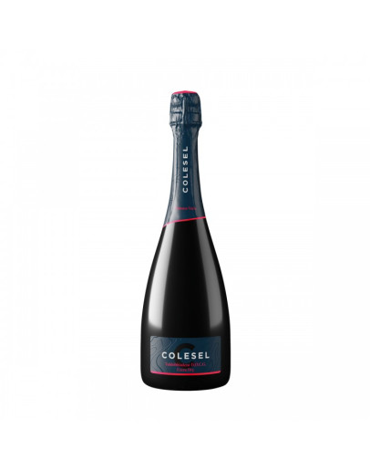 Prosecco Superiore docg Extra Dry - Fontana Vecia Magnum