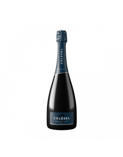Prosecco SuperioreValdobbiadene Brut docg - Prato Scuro Magnum