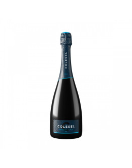 Valdobbiadene Prosecco Superiore docg Dry Millesimato - Elevo