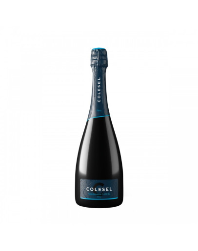 Valdobbiadene Prosecco Superiore docg Dry Millesimato - Elevo