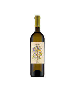 Grillo Acacia affinato in legno 2020