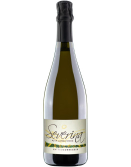 Alta Langa docg Extra Brut 2021 - Severina