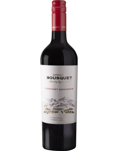 6 Cabernet Souvignon 2023