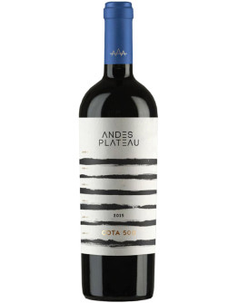 Cota 500 Cabernet Franc Concrete 2023