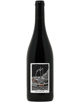Pineau D'Aunis 2024 - Avec le vent
