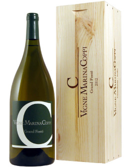 Colli Tortonesi Timorasso doc 2012 - Grand Fostò Magnum