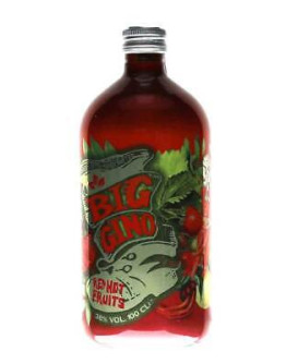 Gin Big Gino Red Hot Fruits 1 l