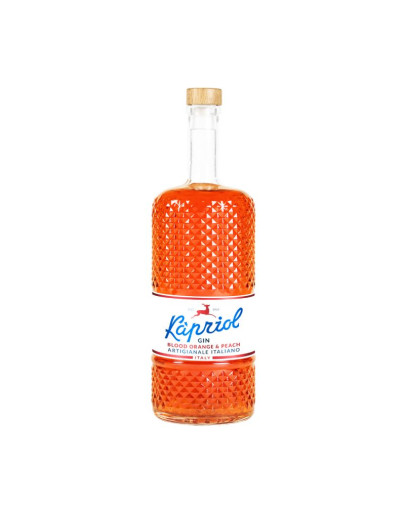 Gin Kapriol Arancia e Pesca