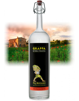 Grappa Poli Pura Vinaccia 40