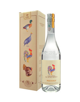 Grappa di Dolcetto