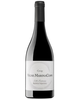 Colli Tortonesi Barbera Superiore doc 2017 - I Grop Magnum