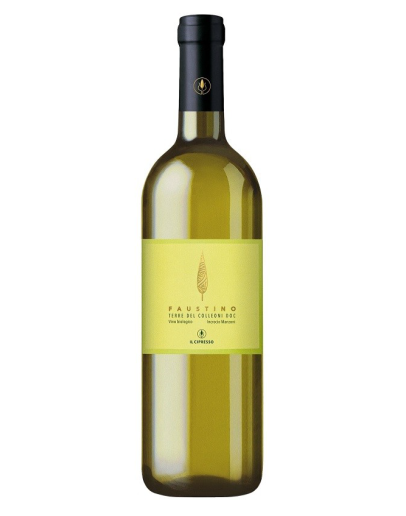 6 Incrocio Manzoni Terre del Colleoni Bianco doc 2024 - Faustino