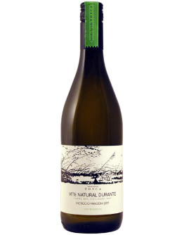 6 Riesling igt 2018