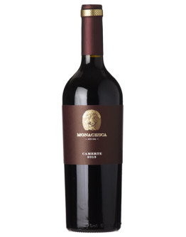 Marche Rosso igt 2000 - Camerte Magnum
