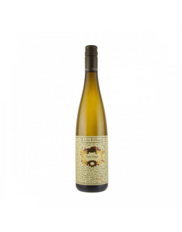 Pinot Grigio doc