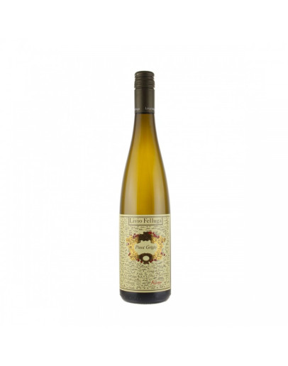 Pinot Grigio doc